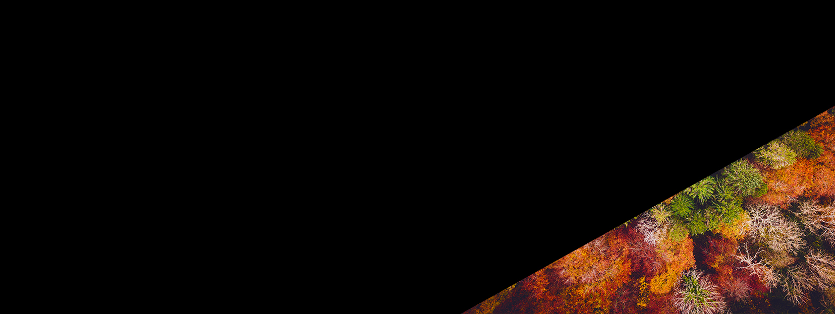 How to run an Environmentally and Socially Sustainable Media Company